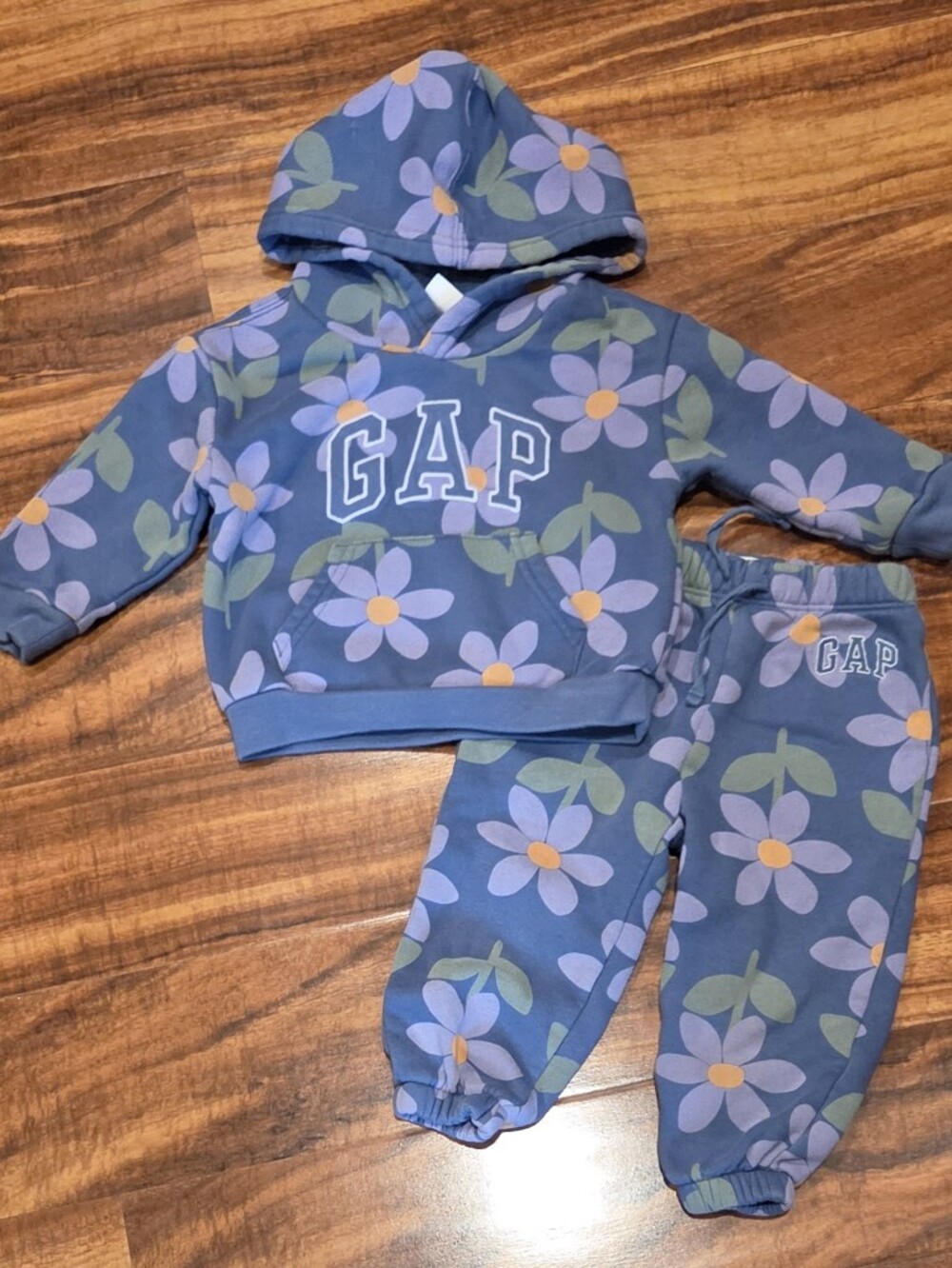 GAP Baby EUC 18-24 Months Blue/Purple Floral Hooded Sweatshirt and Pants Set